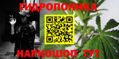 ГАЛЛЮЦИНОГЕННЫЕ ГРИБЫ Будённовск